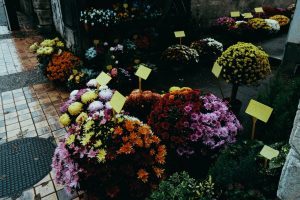 Hurtownia sprzedająca sztuczne kwiaty - jaką wybrać?